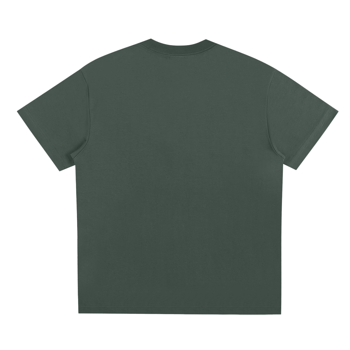 sports,sportswear,tshirt,nature,backpacking,skate,skateboarding,altdesign,lizard